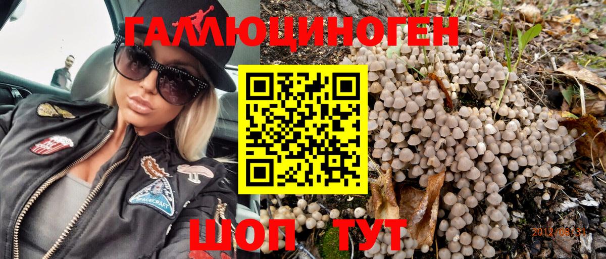 Псилоцибиновые грибы Magic Shrooms Аксай