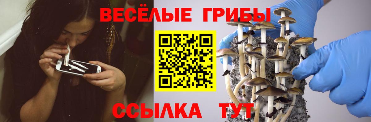 наркота  Вход с VPN  Галлюциногенные грибы прущие грибы  Аксай  Псилоцибиновые грибы прущие грибы 